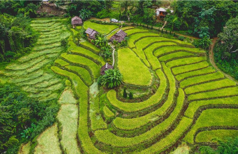 terrasse landscape in thailand