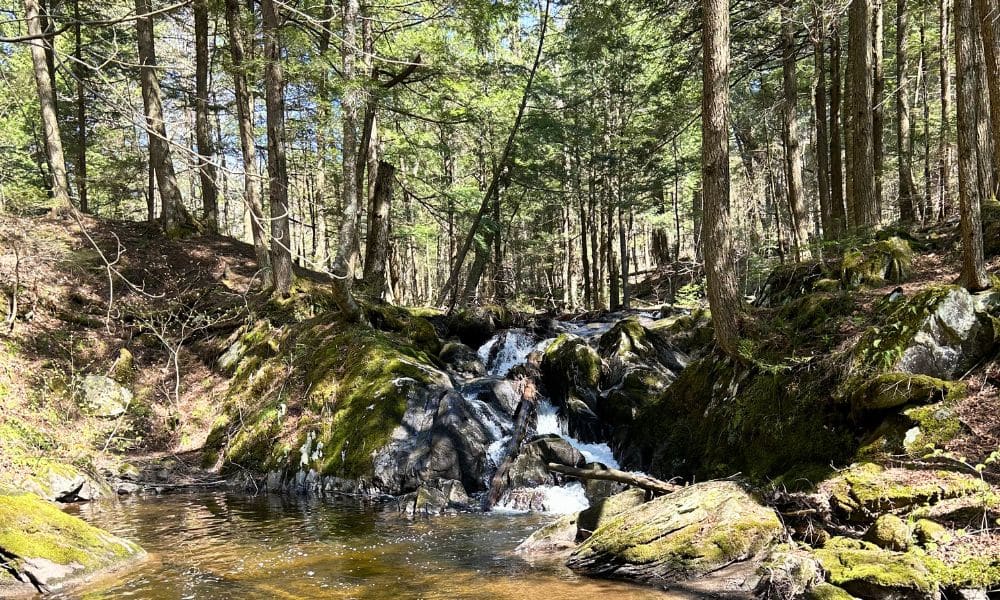 Retraite en Nature en Estrie avec Surya cascade