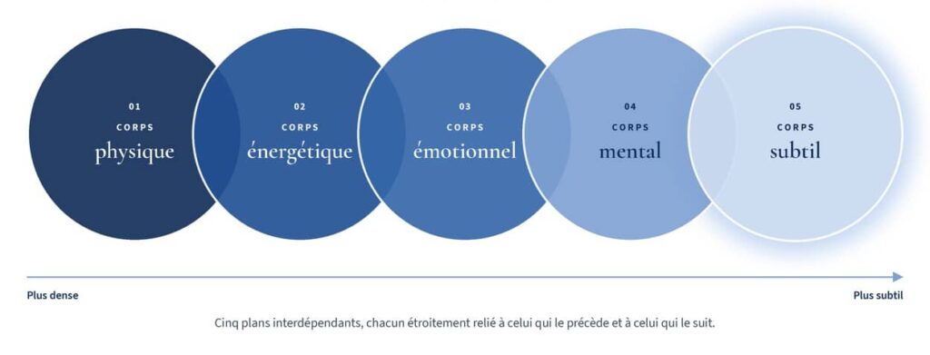 anatomie-subtile-5-corps